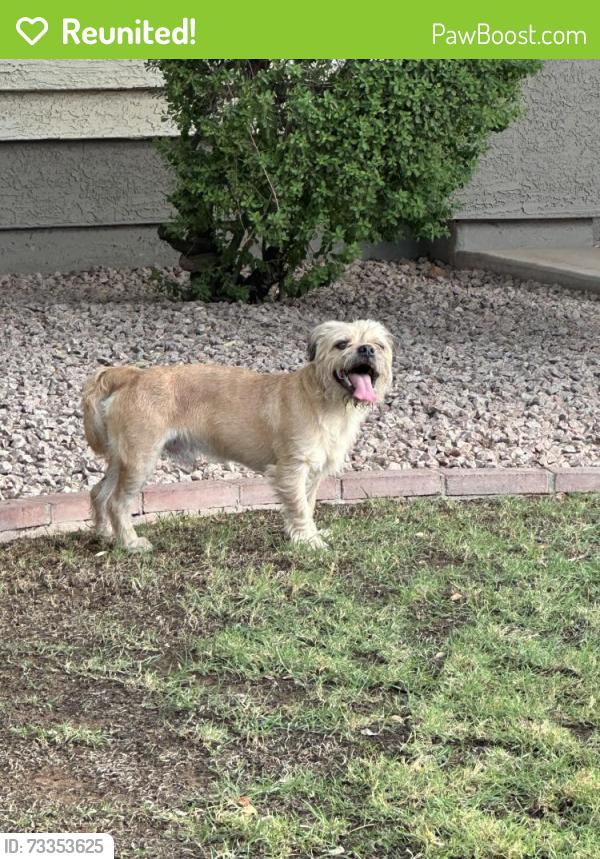 Reunited Male Dog last seen Power/Baseline, Mesa, AZ 85209