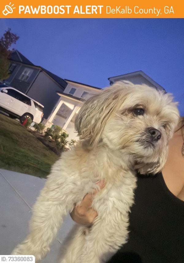 Found/Stray Male Dog last seen Brushwood Bend, DeKalb County, GA 30058