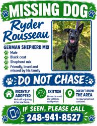 Lost Male Dog last seen Dixie Highway & white Lake Road, Village of Clarkston, MI 48346
