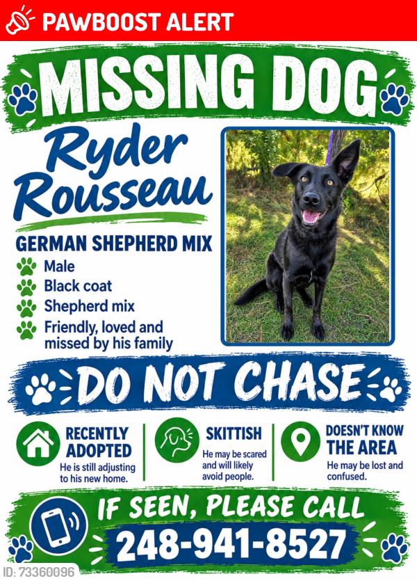 Lost Male Dog last seen Dixie Highway & white Lake Road, Village of Clarkston, MI 48346