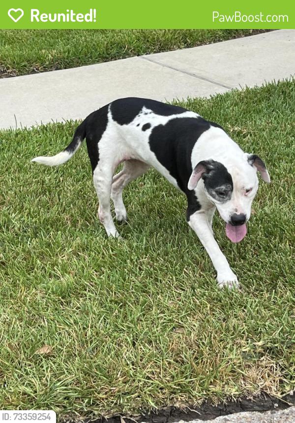 Reunited Female Dog last seen Bay Forest, Houston, TX 77062