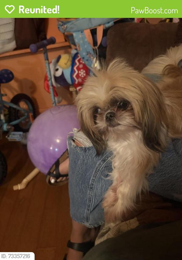 Reunited Female Dog last seen near rosemont parl, Fort Worth, TX 76115
