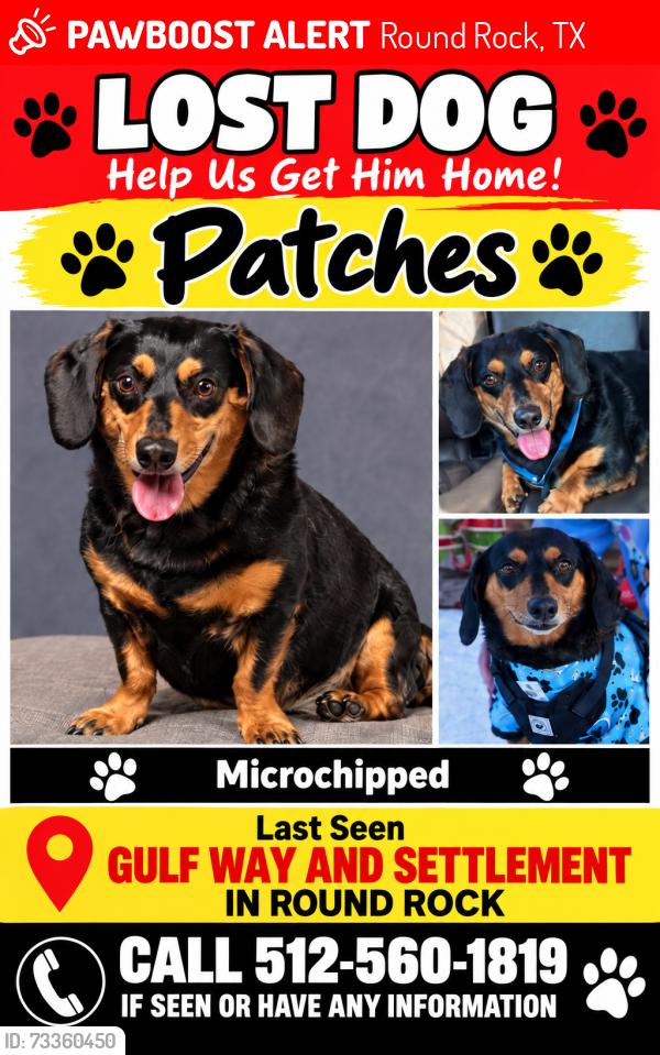 Lost Male Dog last seen Settlement Drive, Round Rock, TX 78665