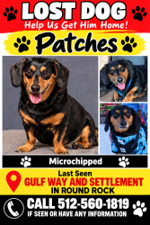Lost Male Dog last seen Settlement Drive, Round Rock, TX 78665