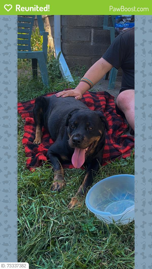 Reunited Female Dog last seen 23rd St N & Vincent Ave N, Minneapolis, MN 55411