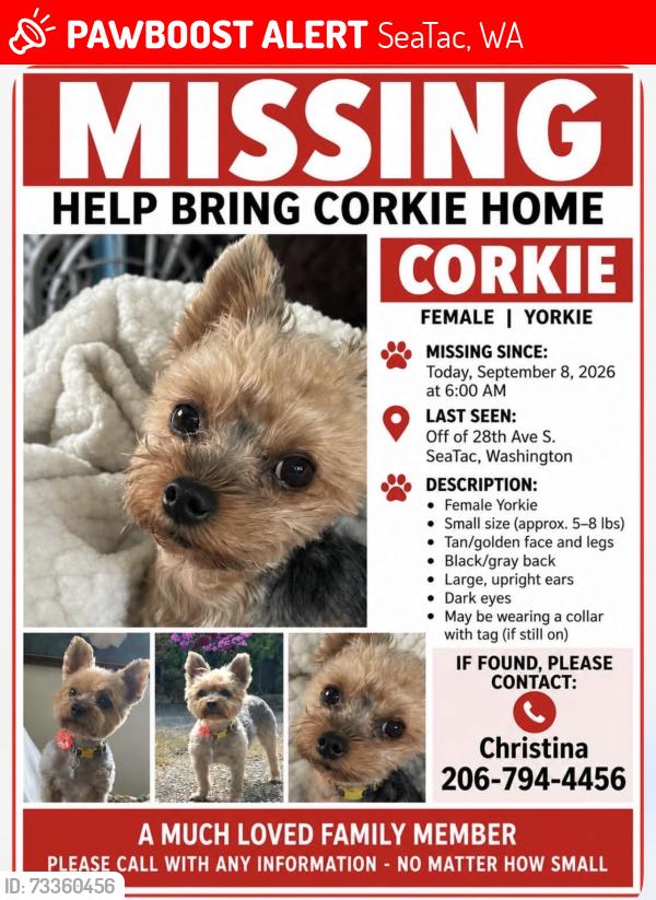 Lost Female Dog last seen S. 166th street and 37th Ave South, SeaTac, WA 98188