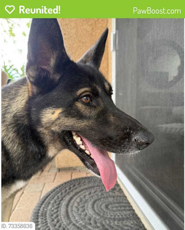 Reunited Male Dog last seen Potrero Rd and Briar Ave in Newbury Park, Thousand Oaks, CA 91320