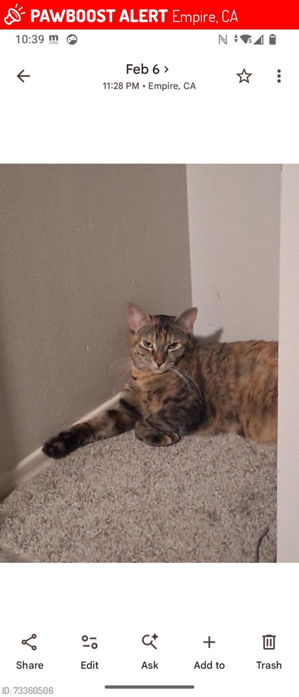 Lost Female Cat last seen B Street and 3 Street, Empire, CA 95319
