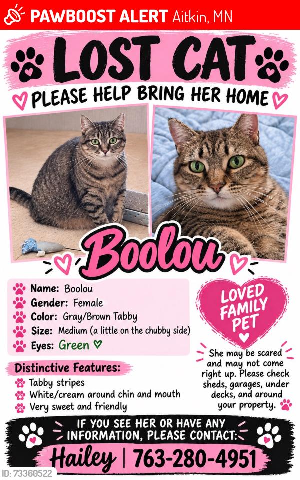 Lost Female Cat last seen Nature Ave, Aitkin, MN 56431