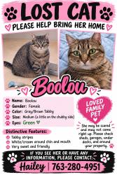 Lost Female Cat last seen Nature Ave, Aitkin, MN 56431