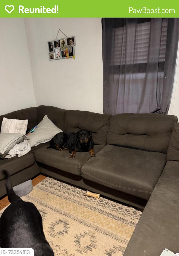 Reunited Female Dog last seen Smythe st, Pelzer, SC 29669