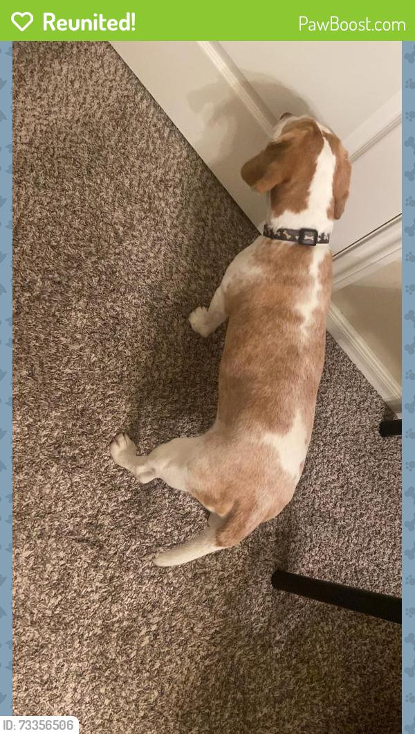 Reunited Male Dog last seen Lakecrest Glen Dr. Katy Texas, Katy, TX 77493