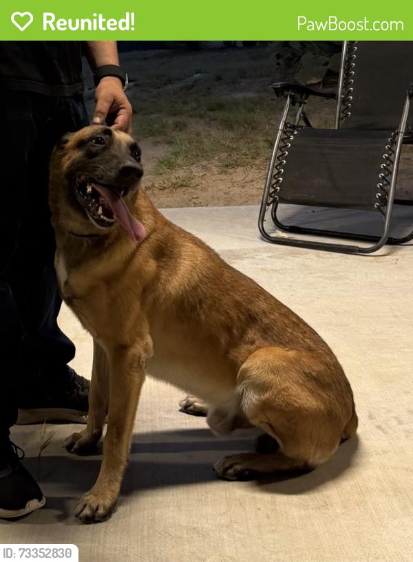 Reunited Male Dog last seen Willow st, Laredo, TX 78043