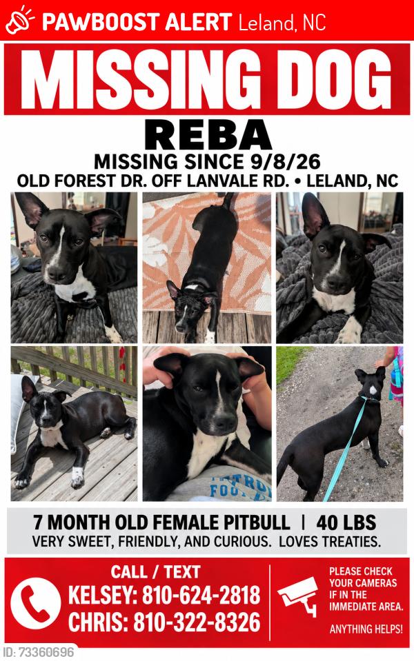 Lost Female Dog last seen Lanvale Rd and Old Forest Rd., Leland, NC 28451