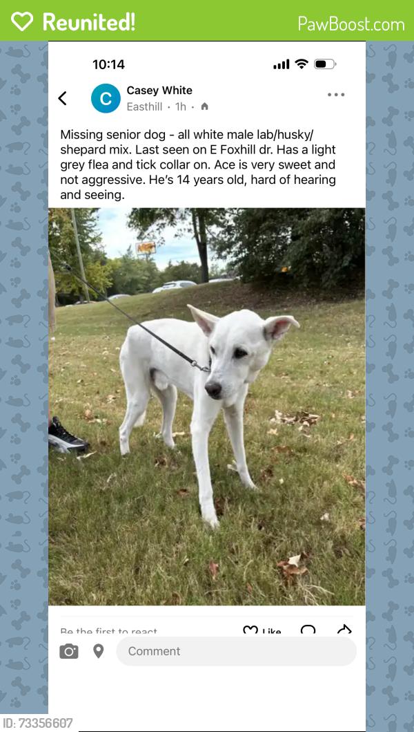 Reunited Male Dog last seen Ellendale Elementary, Bartlett, TN 38135