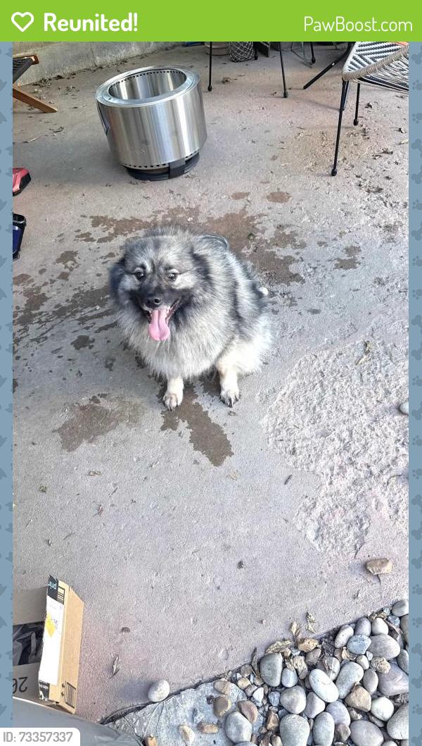 Reunited Unknown Dog last seen Old Shackle Island, Hendersonville, TN 37075