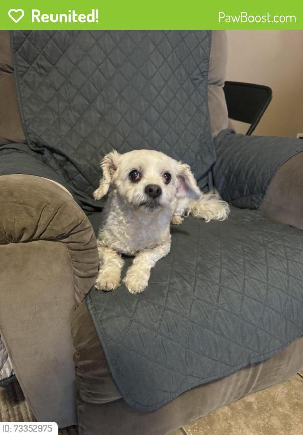 Reunited Female Dog last seen Near E Pettit Ave, Fort Wayne, IN 46806, Fort Wayne, IN 46806