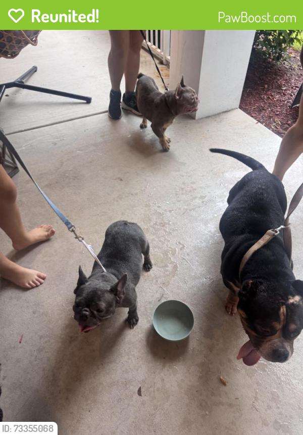 Reunited Unknown Dog last seen Near W Bexley Park Dr, Delray Beach, FL 33445, USA, Delray Beach, FL 33445