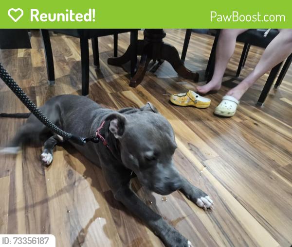 Reunited Male Dog last seen BAKER @ Hirsch, Tomball, TX 77375