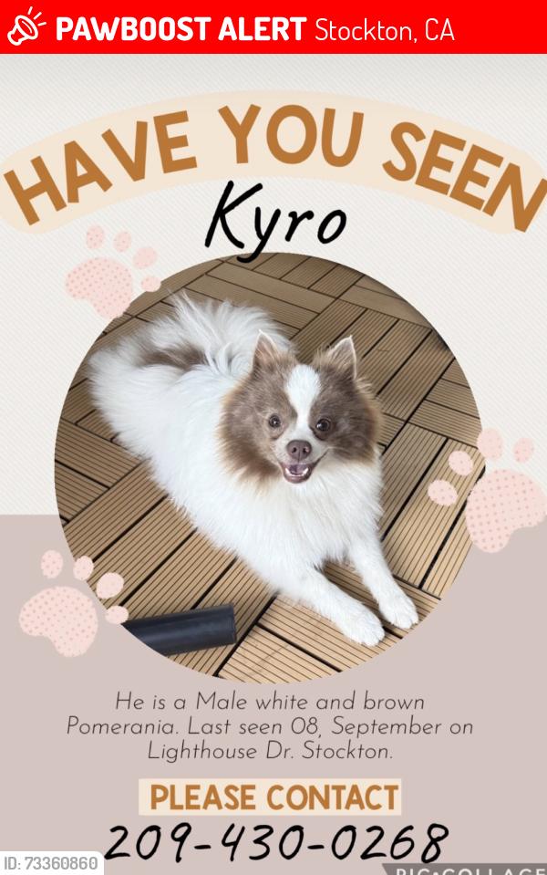 Lost Male Dog last seen Lighthouse dr and hammer lane, Stockton, CA 95219