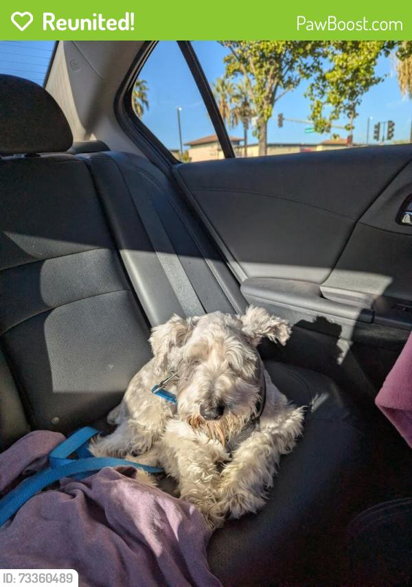 Reunited Male Dog last seen Arnold Gamble and honor parkway, Sacramento, CA 95835