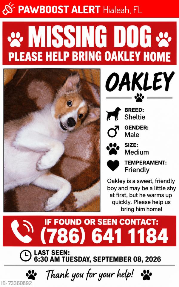 Lost Male Dog last seen Near W 74th st, Hialeah, FL 33016