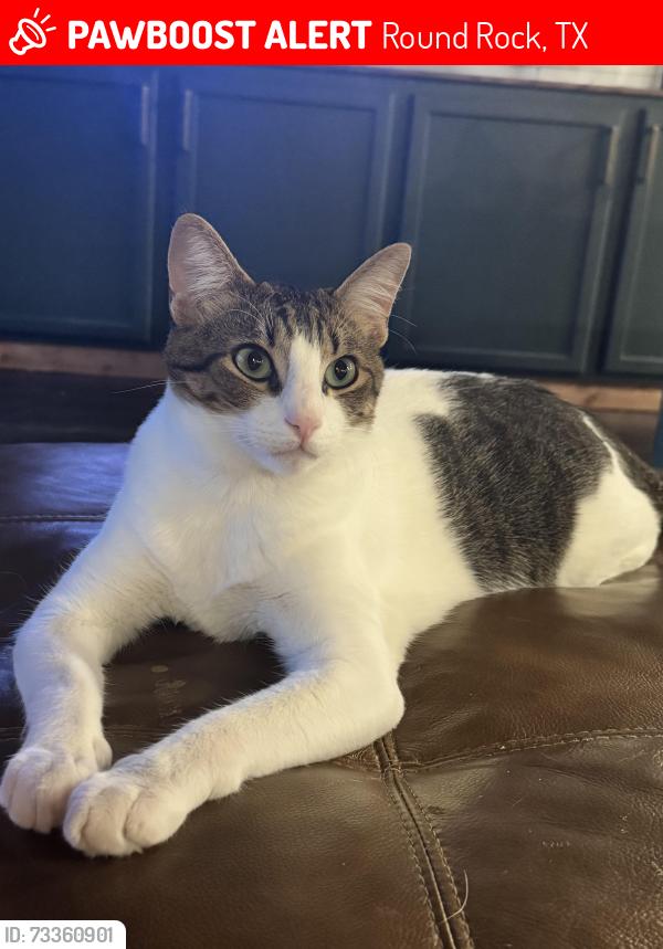 Lost Male Cat last seen Hidden Acres, Round Rock, TX 78664