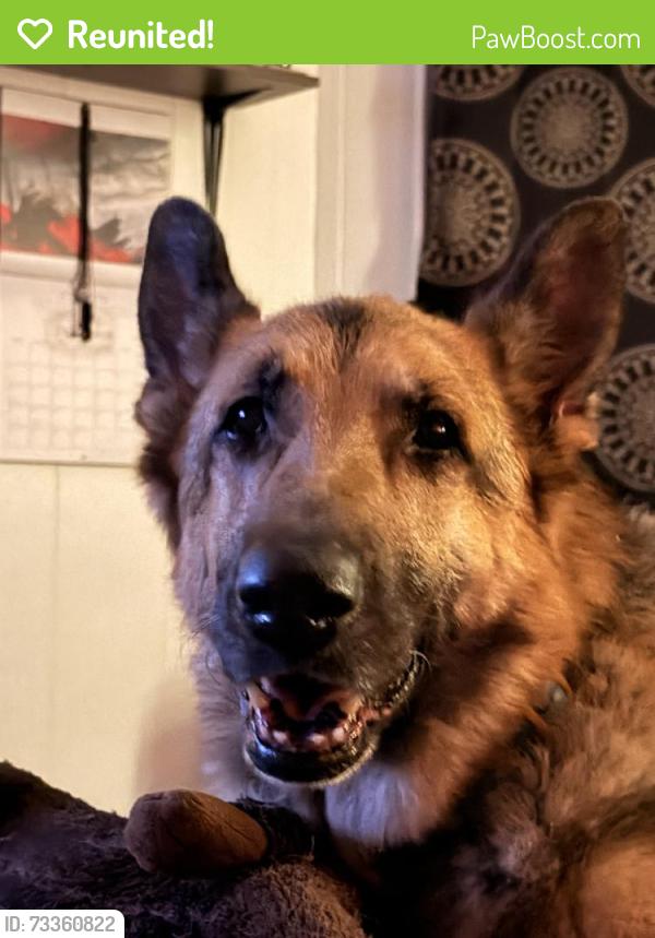 Reunited Male Dog last seen Near S 9th St, Wilmington, NC 28401, USA, Wilmington, NC 28401