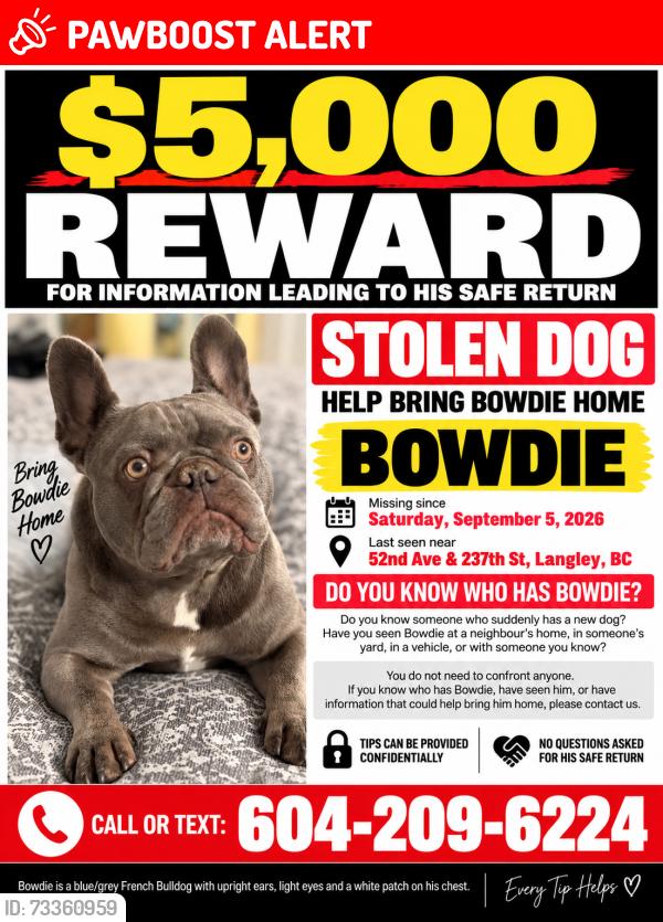 Lost Male Dog last seen Near & 52 Langley, Langley Township, BC V2Z 2P3