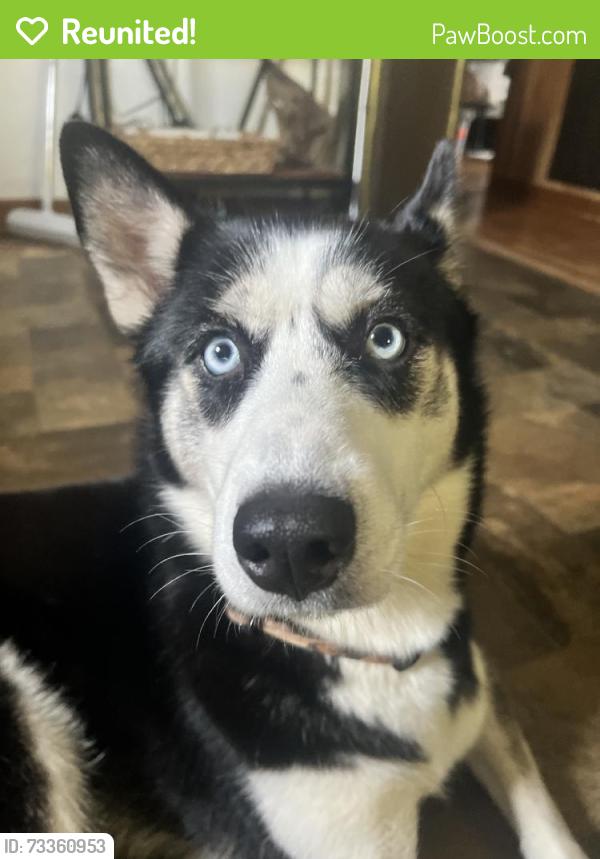 Reunited Female Dog last seen Connelly Springs, NC 28612, USA, Connelly Springs, NC 28612
