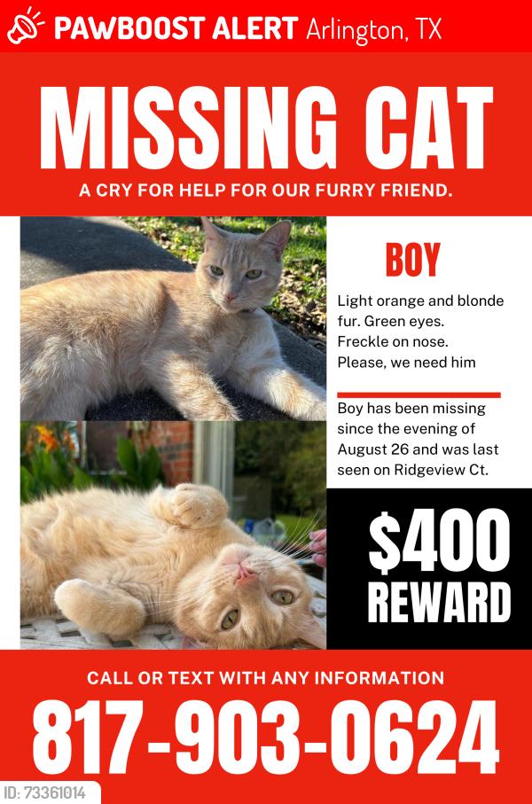 Lost Male Cat last seen Fielder and 30, Arlington, TX 76012