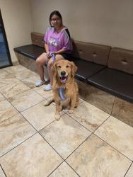 Found/Stray Male Dog last seen Giano Intermediate School, Los Angeles County, CA 91792