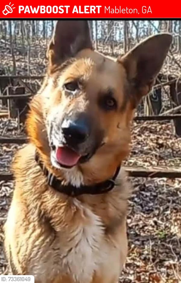 Lost Male Dog last seen Near Cooper Lake road, Mableton, GA 30126