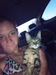Lost Male Cat last seen At the alano club, Antioch, CA 94509