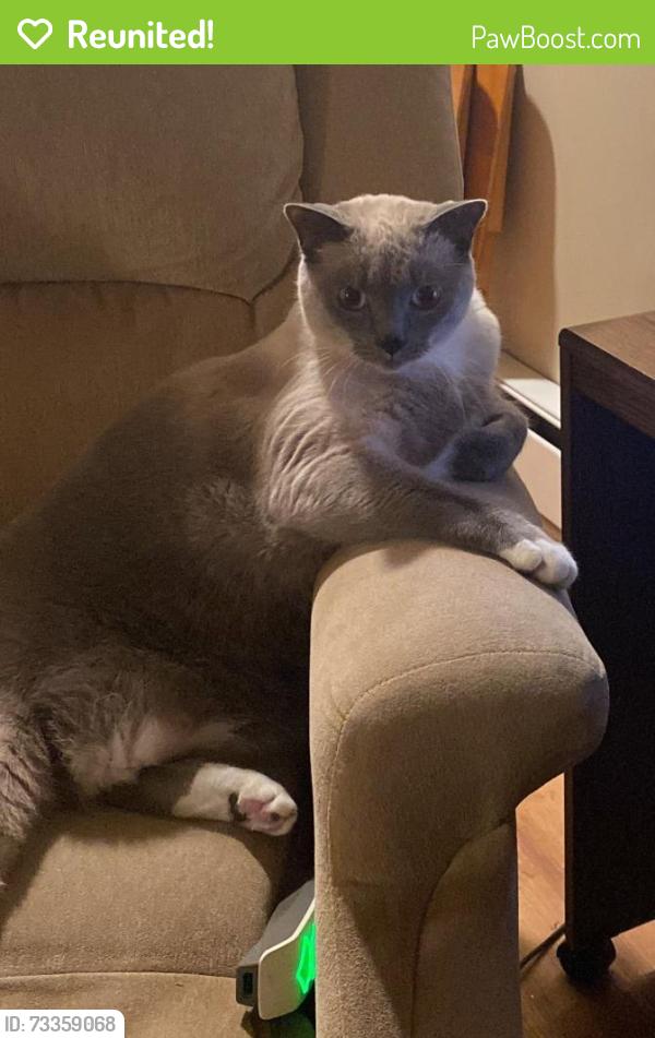 Reunited Male Cat last seen Streets: Lapeer, Alcona, and Casto, Burton, MI 48509