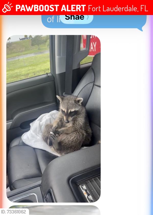 Lost Male Other last seen Oakland Park, Fort Lauderdale, FL 33301