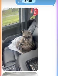 Lost Male Other last seen Oakland Park, Fort Lauderdale, FL 33301