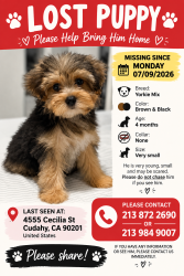 Lost Male Dog last seen Near Cecilia St, Cudahy, CA 90201, Cudahy, CA 90201