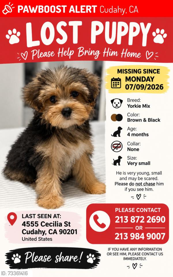 Lost Male Dog last seen Near Cecilia St, Cudahy, CA 90201, Cudahy, CA 90201