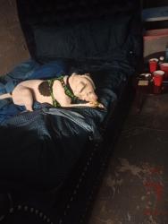 Lost Male Dog last seen Moe's market, Louisville, KY 40211