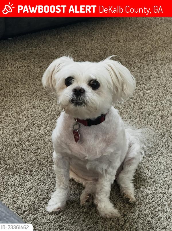 Lost Male Dog last seen Clear near southland subdivision, DeKalb County, GA 30087