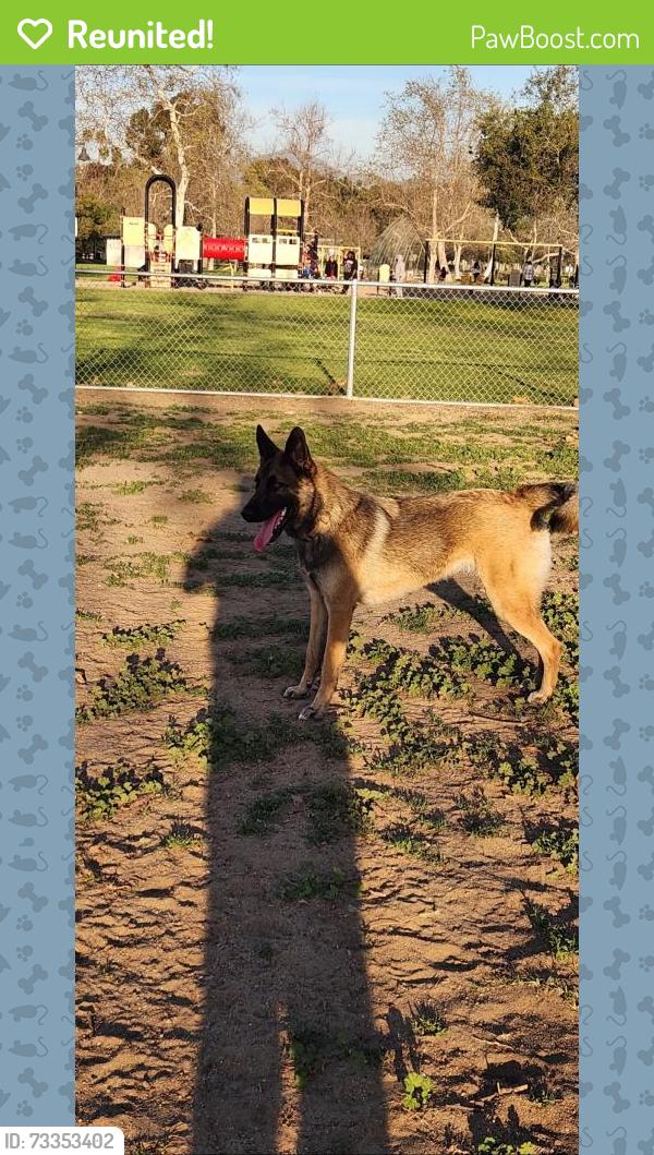 Reunited Male Dog last seen Wolford dr, La Presa, CA 91977