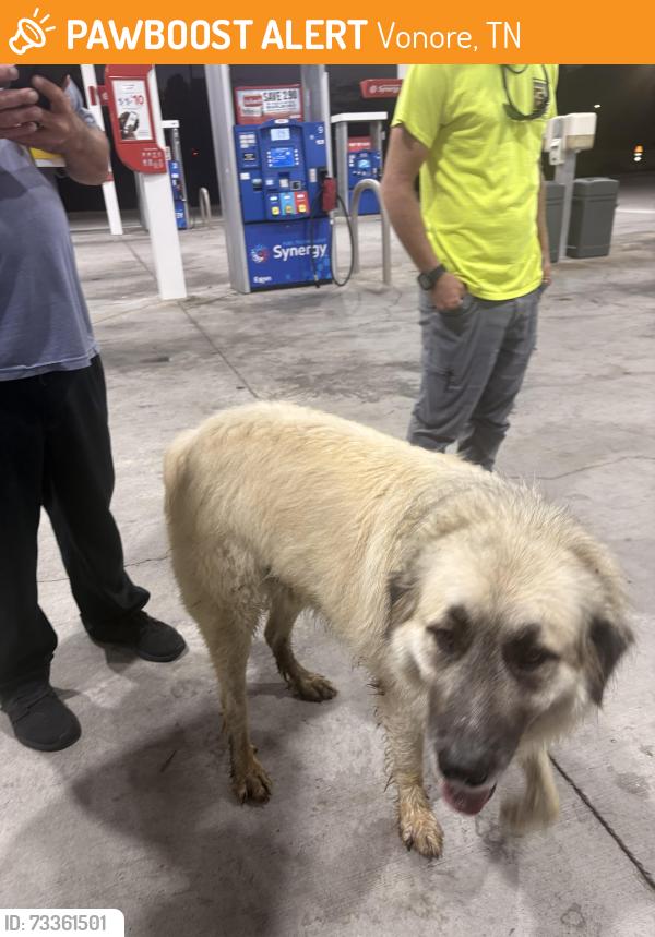 Found/Stray Male Dog last seen Exxon McDonalds, Vonore, TN 37885