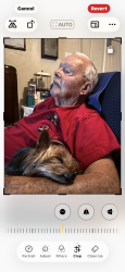 Reunited Unknown Dog last seen Ladner St., Between Magenta St & S. 47th St, San Diego, CA 92113