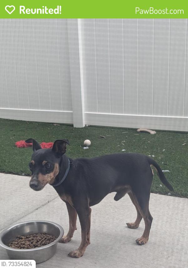 Reunited Male Dog last seen Ascend cottages, Hendersonville, NC 28792
