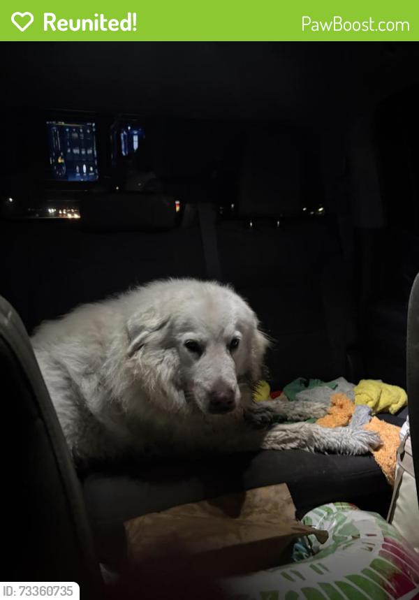 Reunited Unknown Dog last seen Near New Bern Airport Intersection, James City, NC 28562