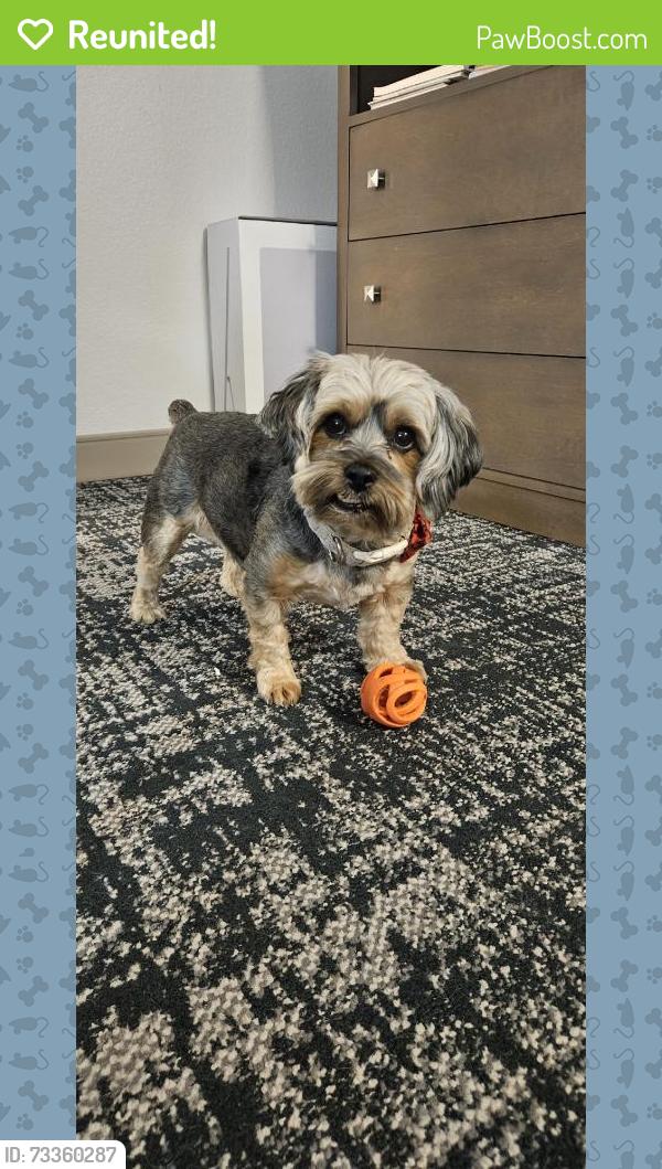 Reunited Male Dog last seen South Academy blvd and Airport Rd, Colorado Springs, CO 80916