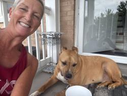 Reunited Male Dog last seen Melmack Dr & Syfert Ln, Nashville, TN 37211