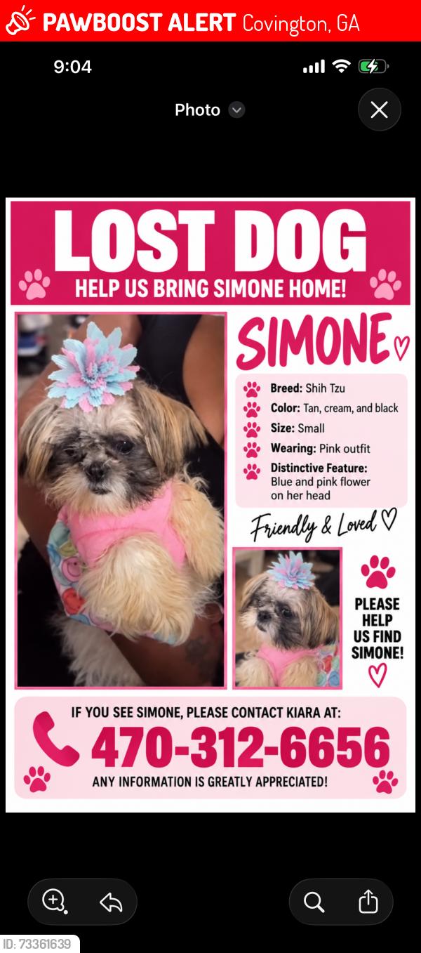 Lost Female Dog last seen Covington, Covington, GA 30016