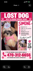 Lost Female Dog last seen Covington, Covington, GA 30016